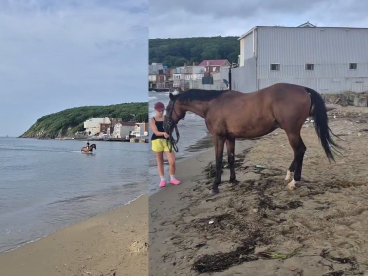 Отдыхающие жалуются на «конский беспредел» на пляже в бухте Щитовая в Приморье