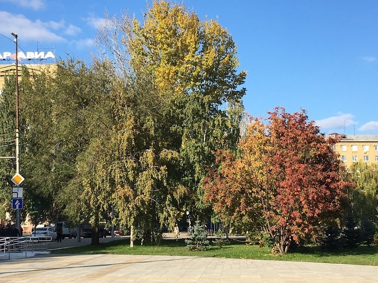 В Саратове - жара, в Осло льет дождь
