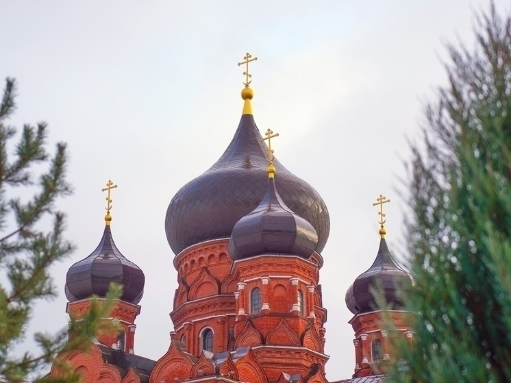 Священник Русакевич рассказал тулякам, что можно и нельзя после причастия