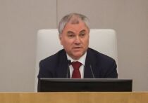 С 1 августа в России вступают в силу несколько важных законодательных изменений, которые затронут различные сферы жизни граждан