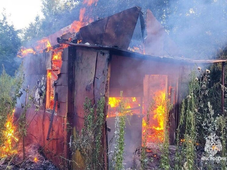 В Узловой ликвидировали пожар в заброшенном строении микрорайона Радужный