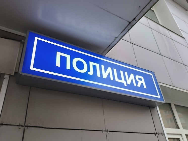 После ночной стрельбы в Отрадном задержали молодого человека с револьвером