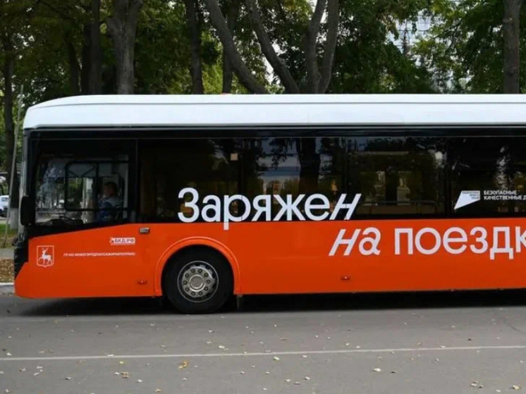 Нижегородцы не смогли повлиять на судьбу маршрута Э-6