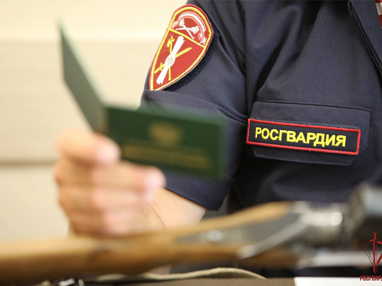 Жители Тульской области сдали в Росгвардию 19 единиц оружия за неделю