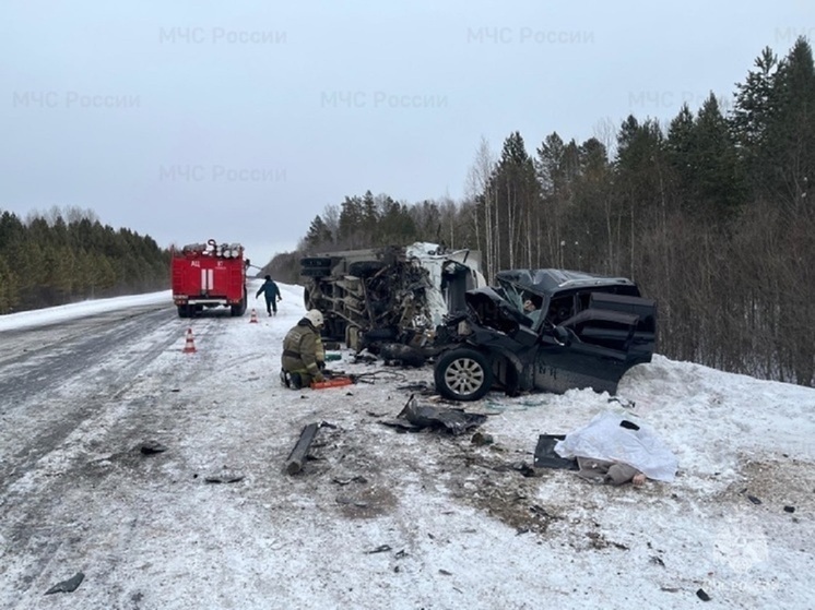 Мигранта обвиняют в ДТП, в котором погибла свердловчанка