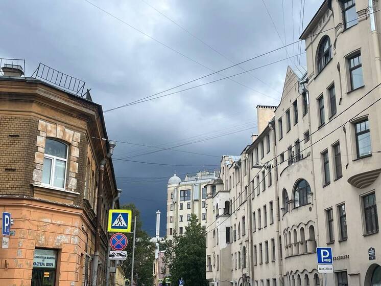 Зной в Петербурге прервут ливни, грозы и сильный ветер 31 июля