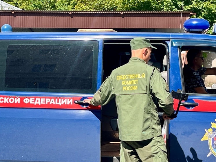 В Грязинском округе возбуждено уголовное дело об убийстве жителя Челябинской области