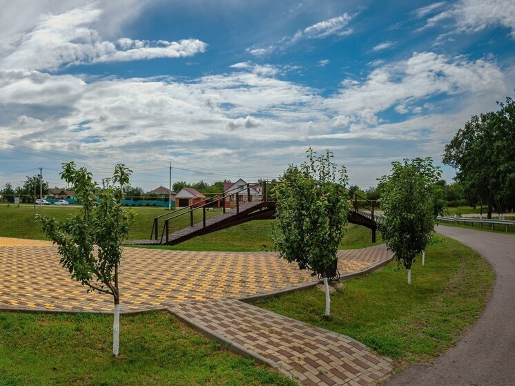 Самым красивым селом Воронежской области признали хутор Пасеково