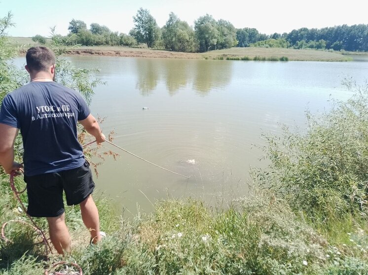 В Алтайском крае подросток утонул в техническом водоеме
