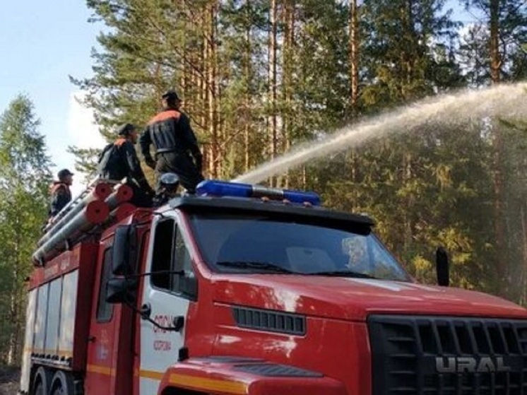 Костромские пожары: спасатели борются с огнем в Илешевском лесничестве Кологривского района