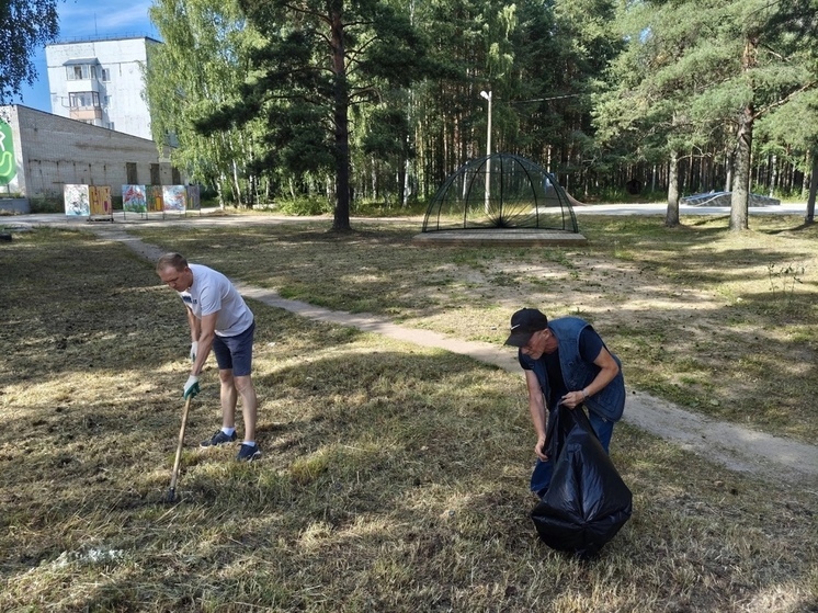 Поселок Вычегодский стал чище