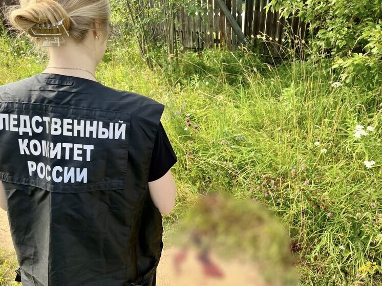 В Великоустюгском округе в убийстве мужчины подозревают 16-летнего юношу