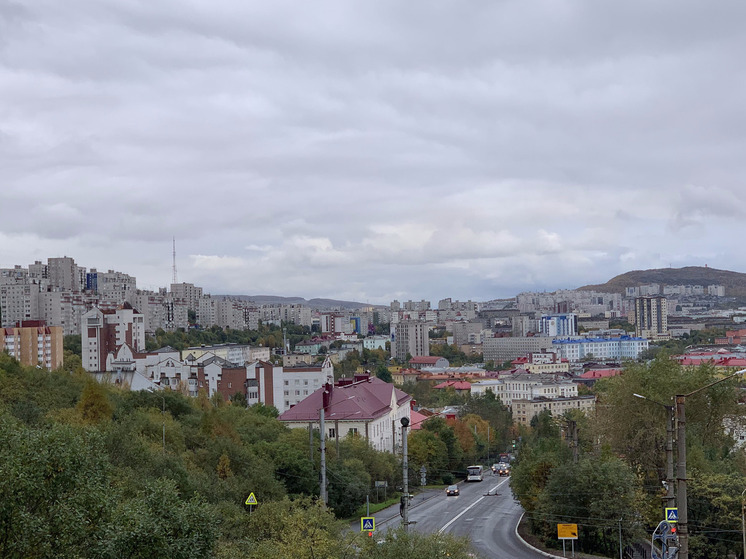 В Мурманской области в этом году заключили более 730 социальных контрактов