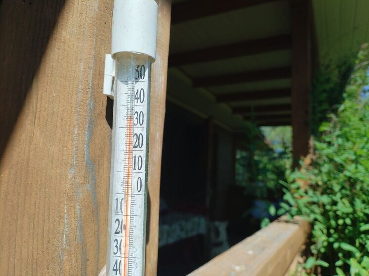 В Мурманской области 1 и 2 августа ожидается сильная жара до +33°