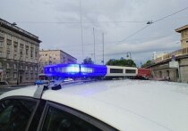 Следственным отделом по Невскому району Санкт-Петербурга возбуждено уголовное дело по статье «грабеж». Об этом сообщили в пресс-службе ГСУ СК по Санкт-Петербургу.
