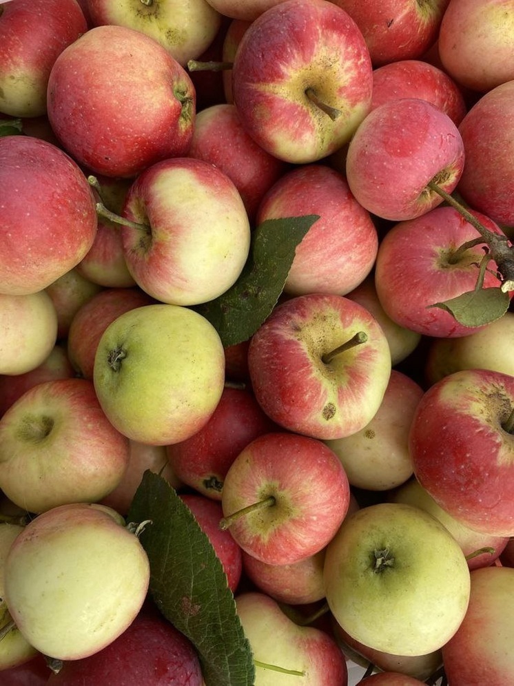 Что можно и нельзя делать 3 августа 2025 года: приметы и традиции в день Онуфрия Молчаливого