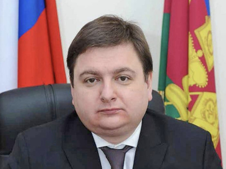 Стало известно, что Брижань не покидает пост главы Минэнерго Самарской области