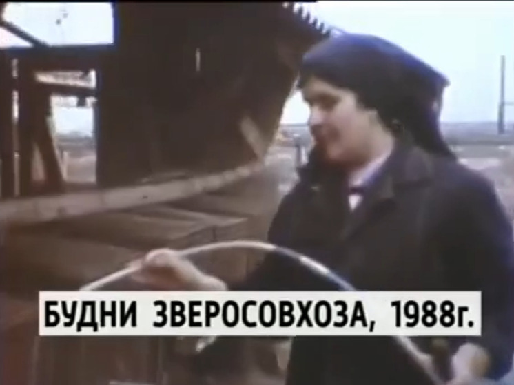 В районе Калмыкии напомнили о совхозе по разведению норки
