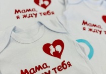 В рамках проекта «Подари жизнь», «МК в Пскове» пообщался с Ириной Кривопуцких, главным внештатным специалистом по репродуктивному здоровью женщин Министерства здравоохранения Псковской области, врачом акушером-гинекологом женской консультации Псковского клинического перинатального центра