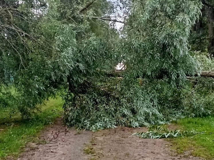 На Старую Руссу обрушился сильнейший ливень с шквалистым ветром