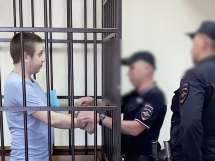 В Йошкар-Оле осудили 26-летнего наркосбытчика