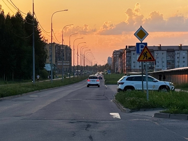 В Великом Новгороде начали ремонт Луговой улицы