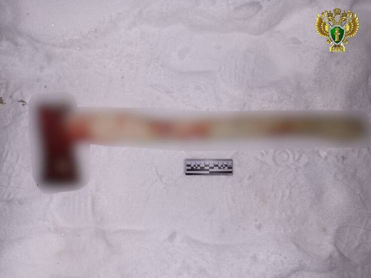 Жительницу Хабаровского края осудили на 6,5 лет за убийство