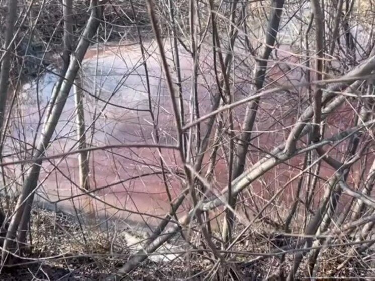 Предприятие в Хабаровском крае прекратило загрязнять реку