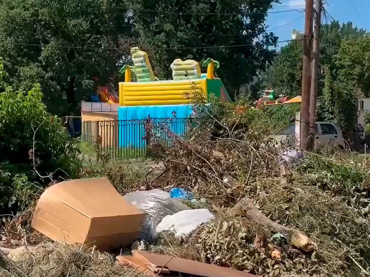 Тамбовский городок три года задыхается от свалок