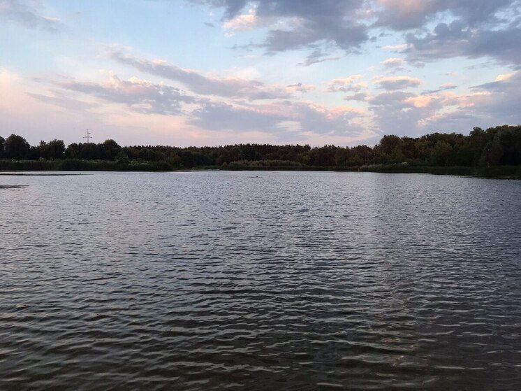 Три трупа подняли из Усманки в воронежском Боровом