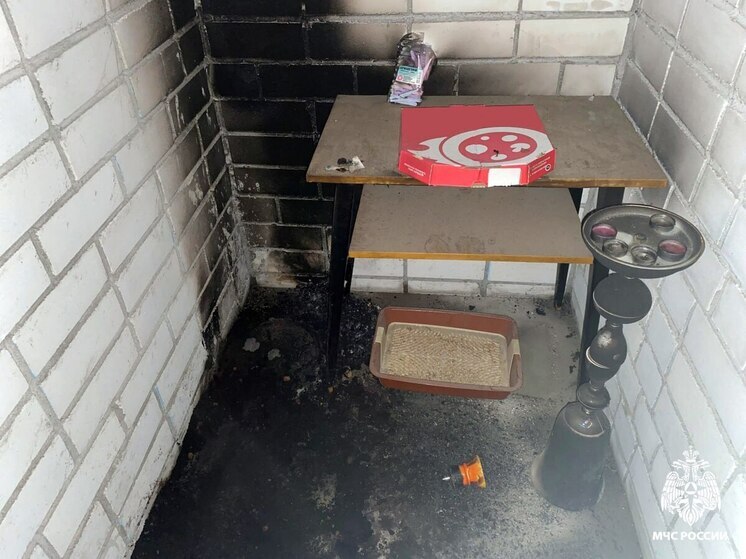 В Вологде из-за непотушенных углей кальяна загорелся балкон