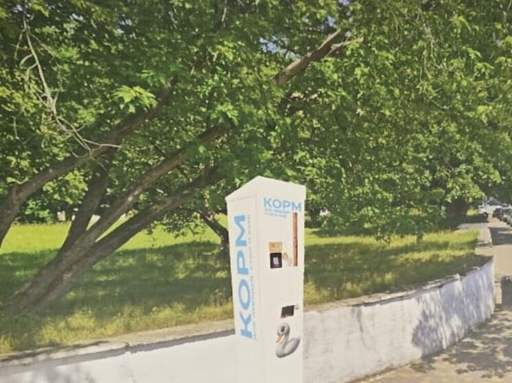 В Балтийске установят автоматическую кормушку для птиц