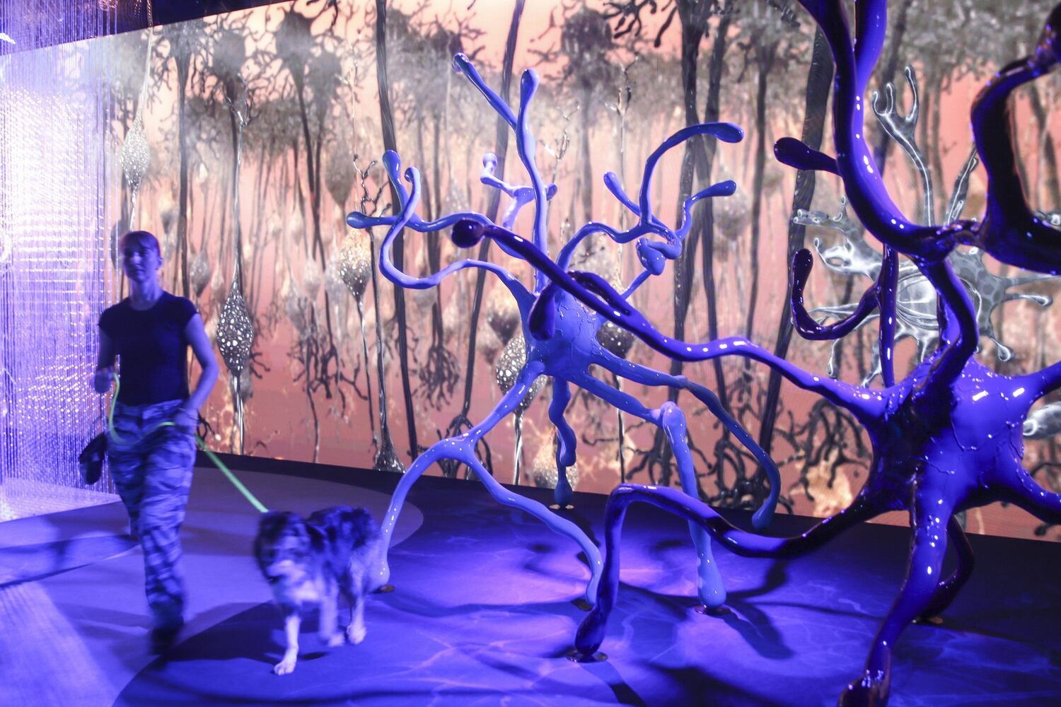 Familia interactuando con las exhibiciones digitales