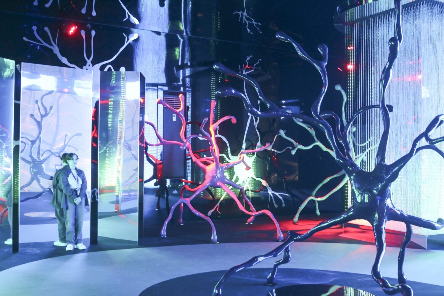 Proyección a gran escala de la anatomía humana