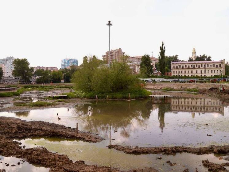 Фонтаны на Комсомольском пруду отключат из-за ремонта моста
