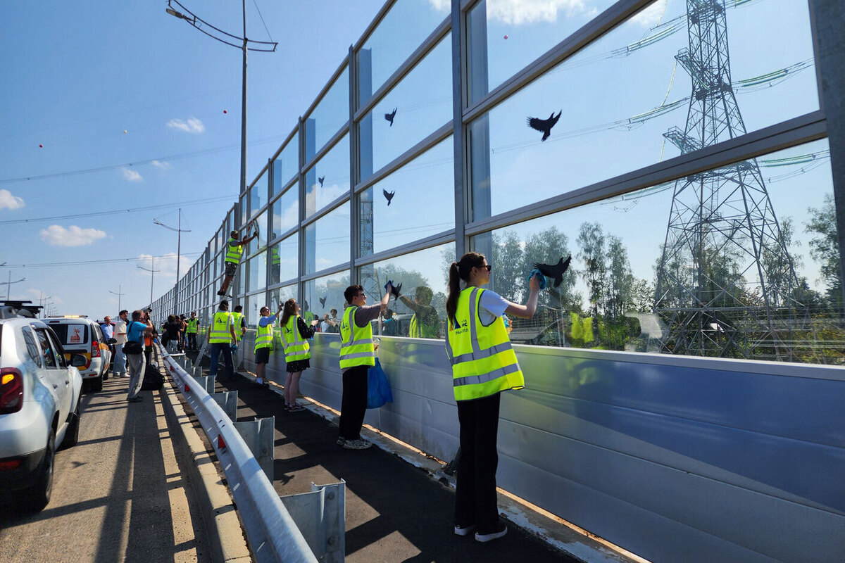 На Мытищинской хорде дорожники приступили к спасению жизни сотен птиц