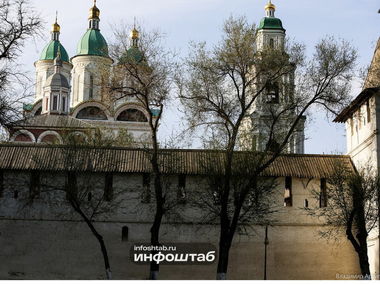 В Астраханскую область поступила 21 тонна мыльного корня