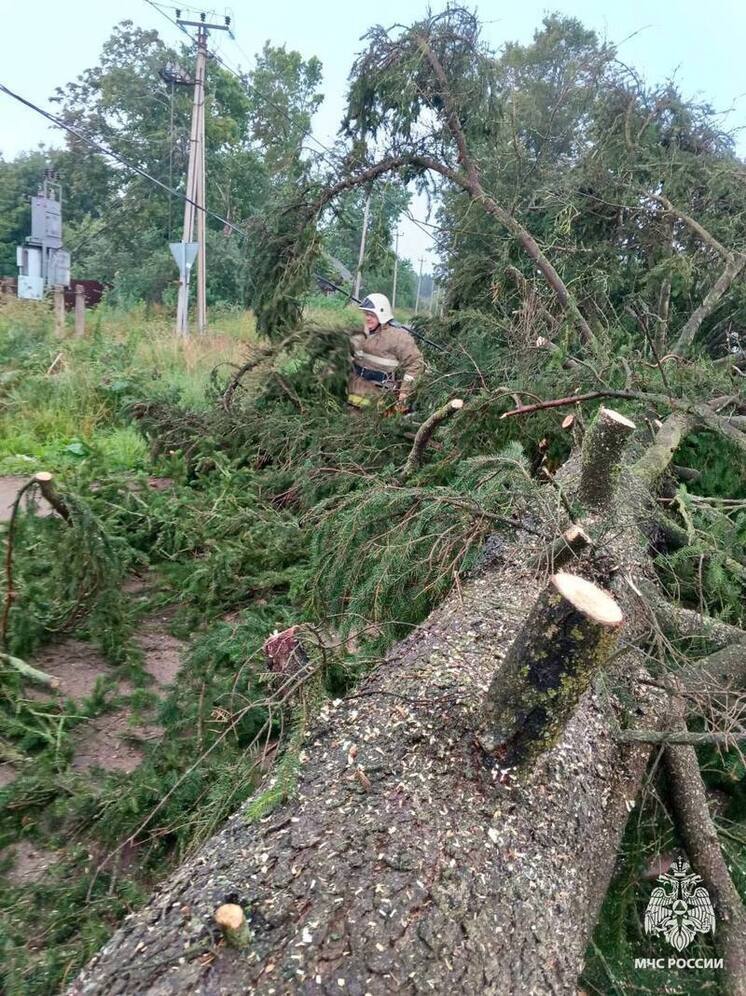 В Андреаполе сотрудники МЧС ликвидировали последствия непогоды