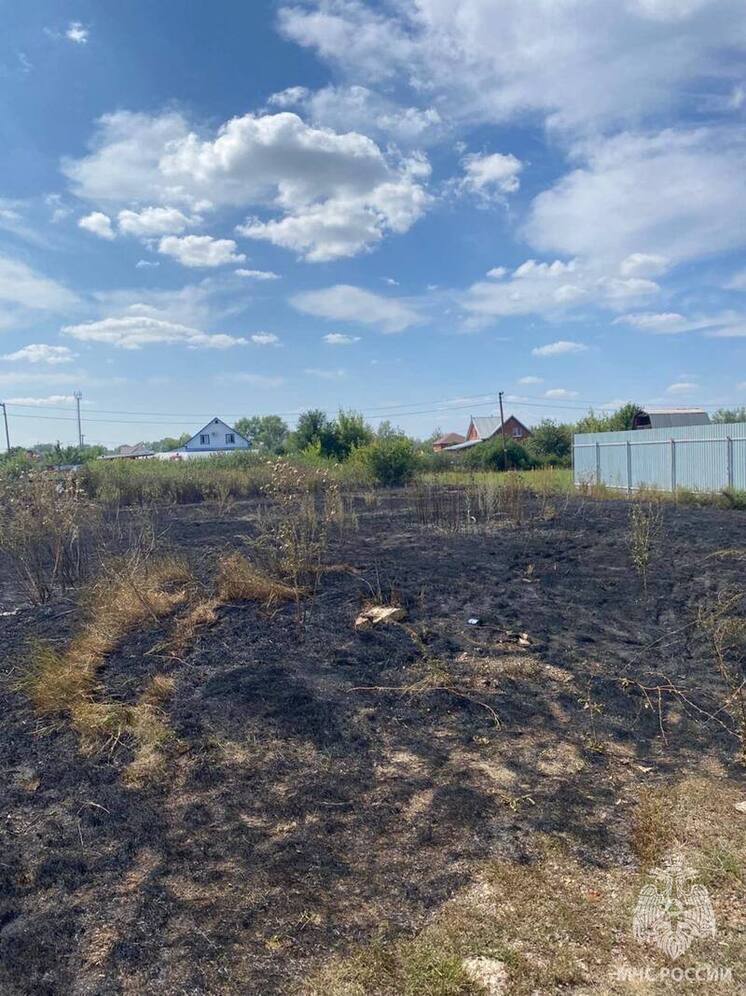 Дачные участки под Оренбургом едва не сгорели