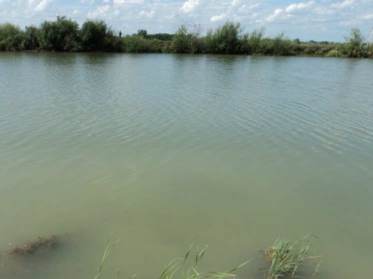 СК возбудил уголовное дело после утопления подростка в водоеме в алтайском селе