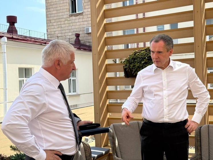 Белгородский губернатор и председатель ДОСААФ обсудили развитие военно-патриотического воспитания