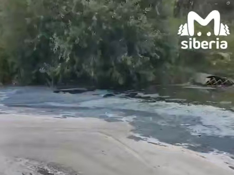 Жители Новосибирска заявили о сбросе химических стоков в городской пруд