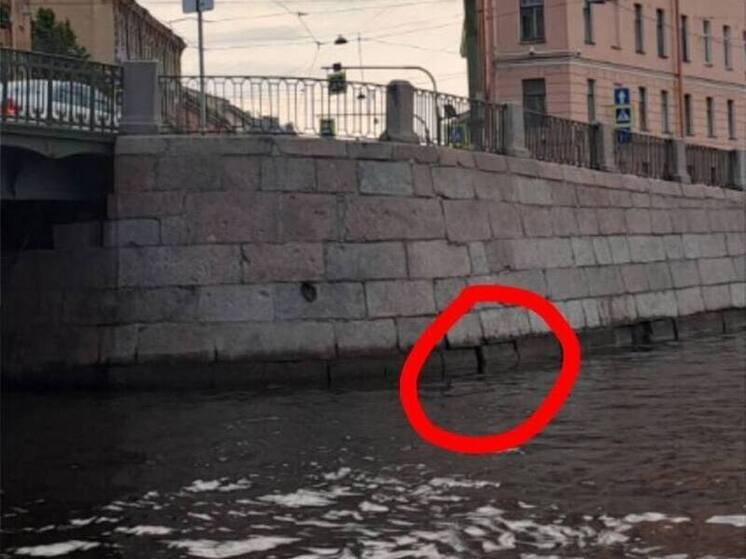 Четыре дня петербургские спасатели пытаются достать кота из щели на Фонтанке