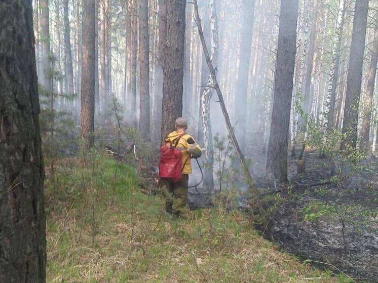 В Иркутской области ликвидированы два лесных пожара