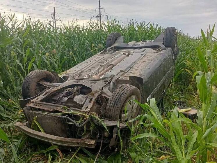 В ДТП в Брянской области автомобиль вылетел в кювет и перевернулся
