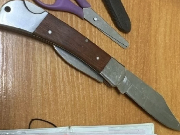 В суд Самары безуспешно пытались пронести 15-сантиметровый нож