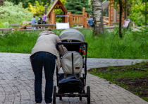 Выяснились новые подробности по делу матери, которая в Красногорском городском округе грубо кинула своего маленького сына в коляску и ударила его по лицу