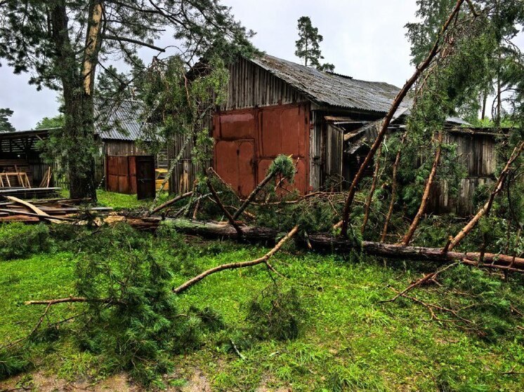 Гроза нанесла большой урон себежскому поселку Идрица
