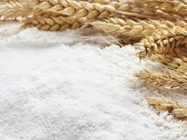 Продовольственные компании ЛНР начнут экспорт своей продукции в ряд зарубежных стран