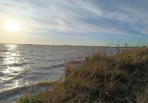 В Республике Алтай завершились поиски 36-летнего жителя Омска, которого унесло течением реки 22 июля